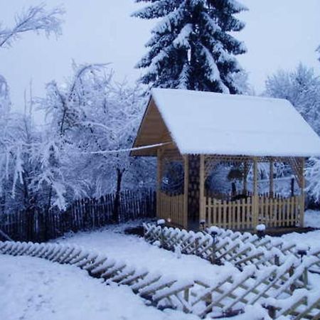 Отель Casa Sabina Pucioasa Экстерьер фото