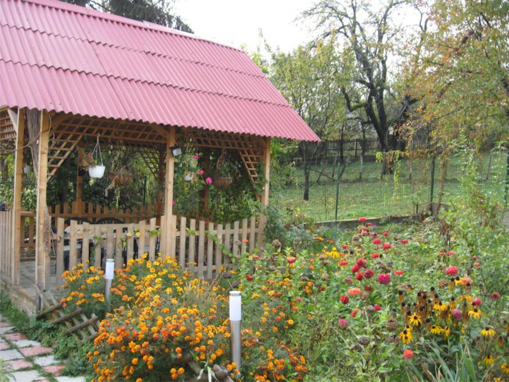 Отель Casa Sabina Pucioasa Экстерьер фото