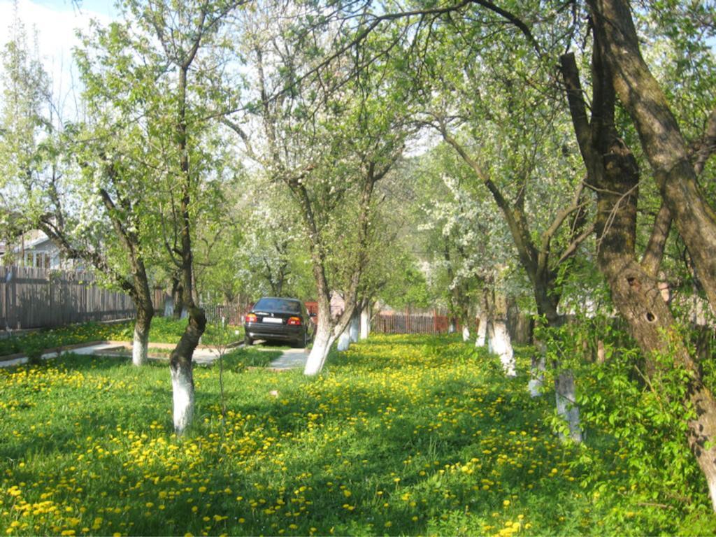 Отель Casa Sabina Pucioasa Экстерьер фото